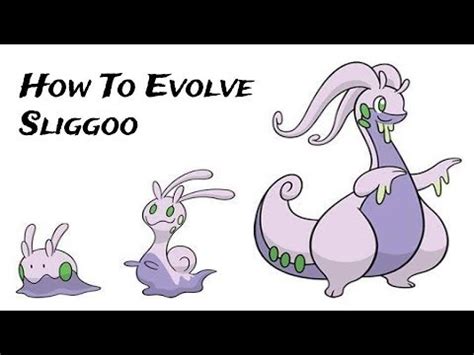 slgoo|sliggoo male vs female.